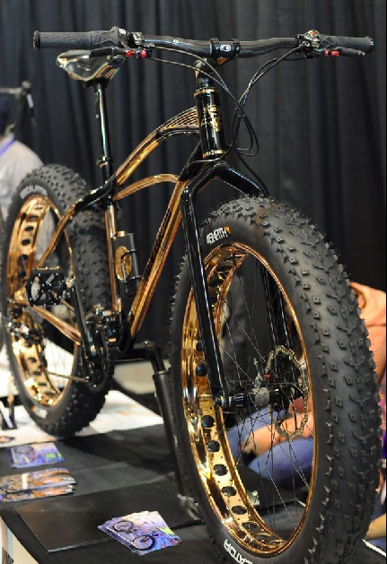 Fat Bike